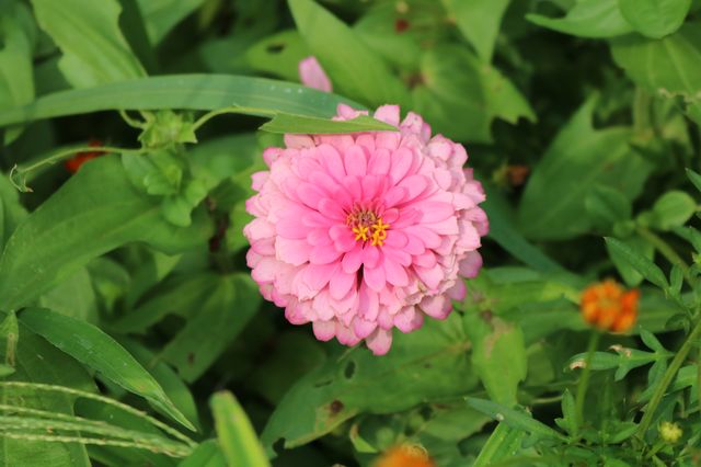 🌸 Discovering Huakai Ecological Park