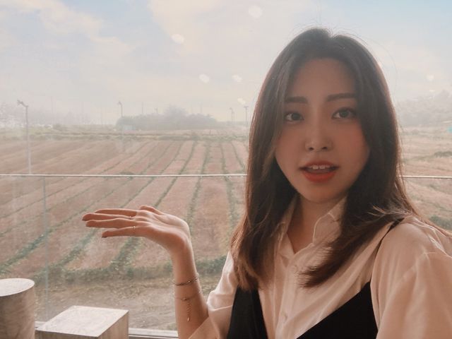 ☔️우기 시즌에 가는 제주도 실내 여행 스팟