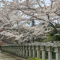 治愈神殿