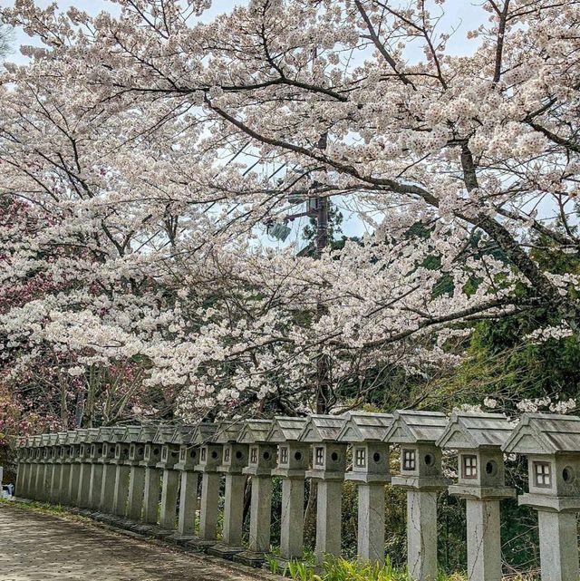 治愈神殿