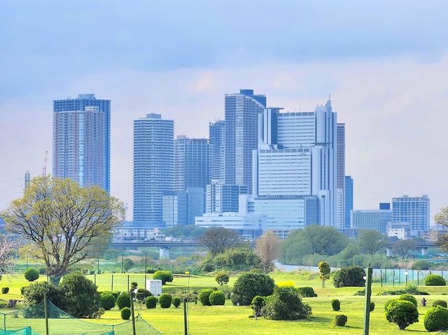Miyuki Park