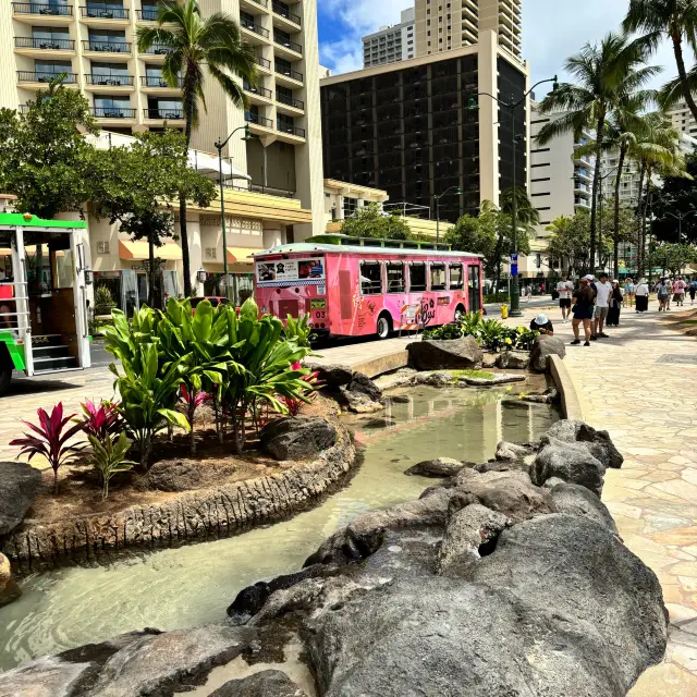 Exploring Waikiki 🌺 