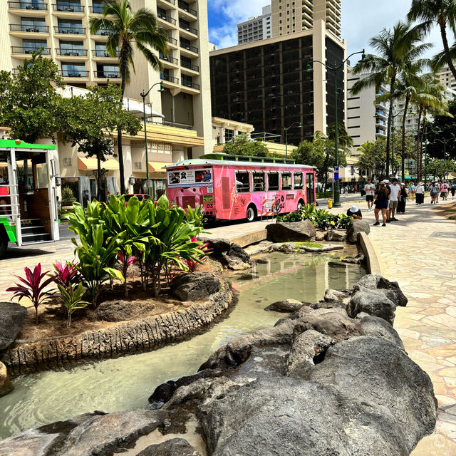 Exploring Waikiki 🌺 