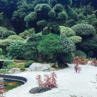 【神奈川県🇯🇵報国寺】竹林が有名な報国寺☺️マイナスイオンに癒されながらお抹茶で小休憩🍵