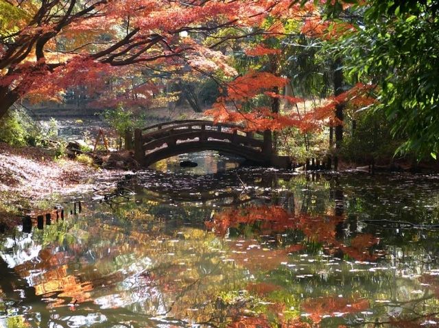 世田谷區立將軍池公園