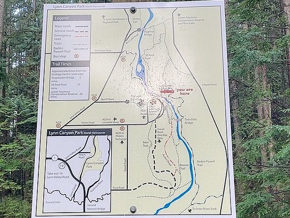트와일라잇촬영지로 알려진 Vancouver에 위치한 Lynn Canyon park
