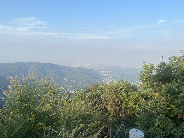 Fragrant hills