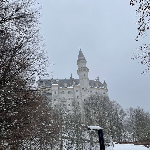 慕尼黑第3️⃣日新天鵝堡🏰連華特迪士尼也用作參考嘅童話城堡❤️