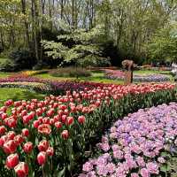 Keukenhof Garden