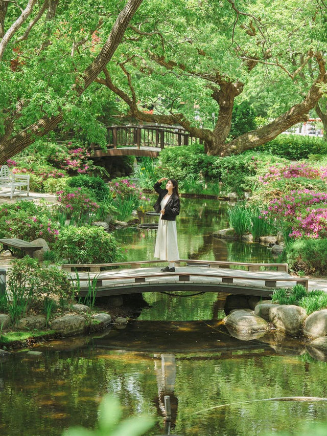 경주 타워 공원