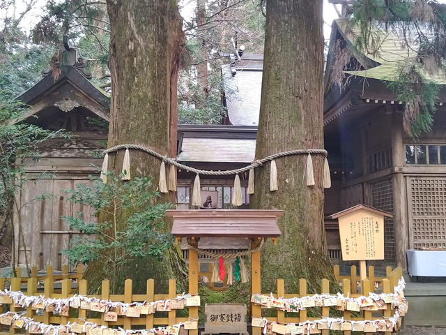 Takachiho Shrine 🇯🇵