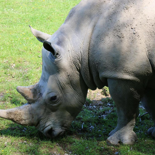 Park Zoo Reynou 🗺️