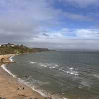 Trip Experience to Tenby Harbour