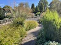 RHS Rosemoor - A garden lovers paradise!