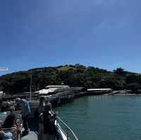 Waiheke island winery tour
