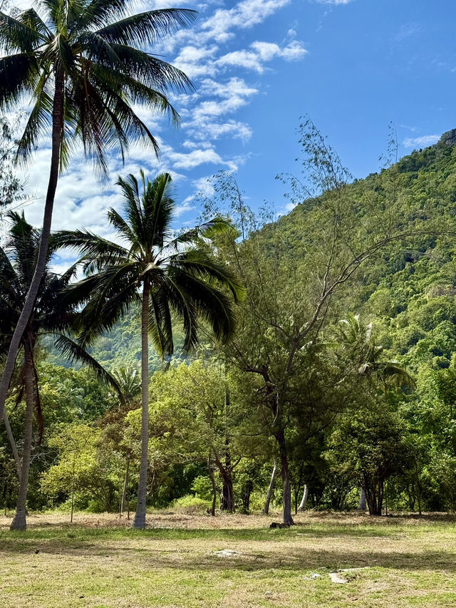 A Hidden Gem In Thailand 🇹🇭 
