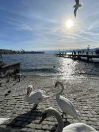 A day trip in the unfiltered streets of Zurich