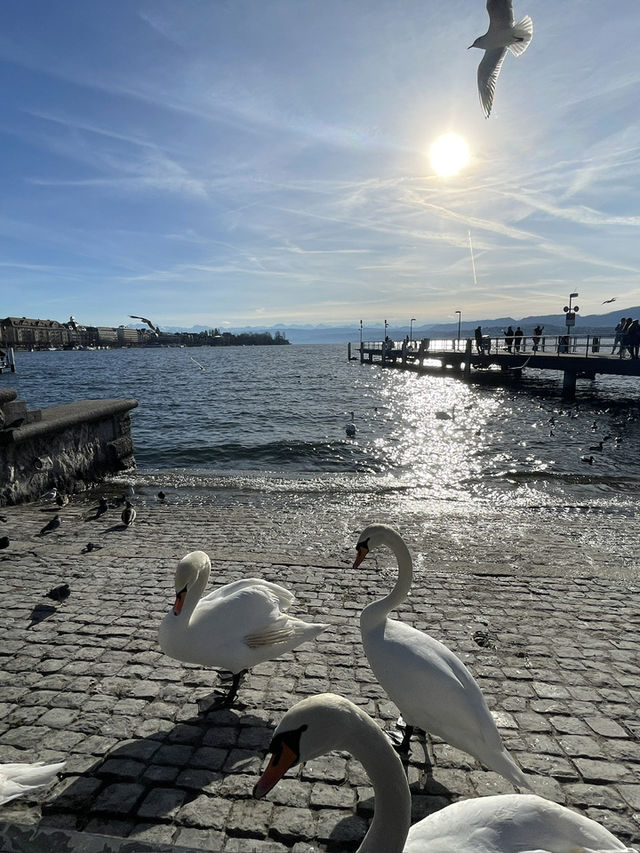 A day trip in the unfiltered streets of Zurich