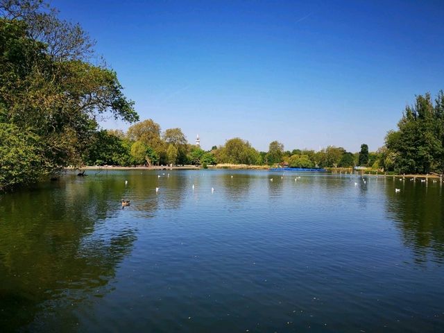 London’s Regent’s Park: Nature and City in Harmony
