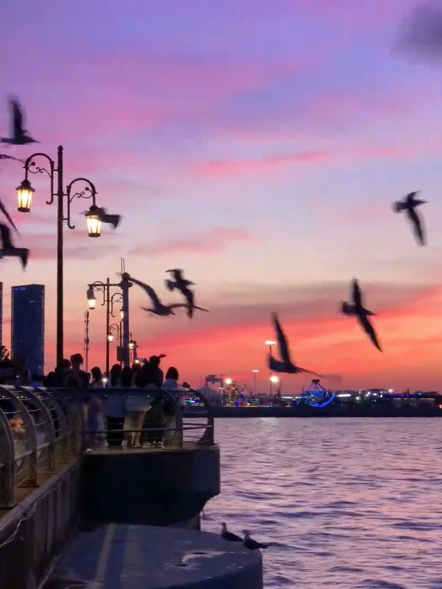 :Sea Breeze, Squares, and Seafood — A Day in Dalian’s Coastal Charm