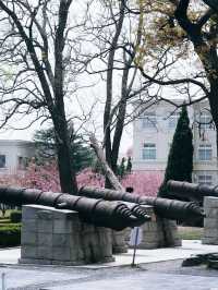 A Day in Lüshun: History, Nature, and Surprises by the Sea