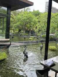 Sunday branch in Ritz Bali-What to wait?