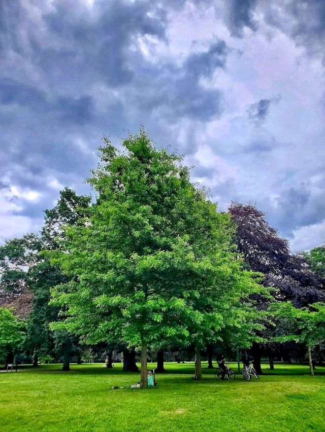 War Memorial Park, Coventry: Peaceful, Green, and Full of Life 🌳🕊️