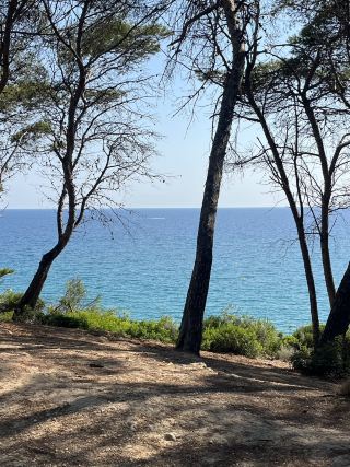 Discover Menorca’s Dreamy Coves & Chill Eats 🌊🍴  
Craving turquoise waters and smooth Mediterranean vibes? Your day around Menorca's Calan Brut and Cala Santandria has you covered—plus, top it off with good eats at Olaola!  

Start your sunny adventure by hopping on the ferry to Menorca ⛴️. Early departures mean smoother seas and more beach time! Head first to Calan Brut, famous for its limestone platforms and deep, crystal-clear blue pools. Jump off the rocks (if you dare), swim, or just catch the sun’s sparkle on the water. For that classic Insta shot, snap from above—those vivid blue rectangles are seriously next level!  

Next, make your way to Cala Santandria. This cove is softer and family-friendly, with gentle sands and shallow water—perfect if you’re after a relaxed swim or easy paddle. The golden hour here is pure magic, so don’t leave before snagging that sunset selfie with the rippling sea behind you.  

When hunger strikes, swing by Olaola Menorca for fresh Mediterranean bites. Their seafood is a must-try—just arrive early or call ahead, as it can fill up quickly during peak season.  

💡 Tips:  
- Bring water shoes for the rocky patches at Calan Brut.  
- Sunscreen is a must—the shade is limited on both beaches.  
- Beach bags: Watch out for wasps near sweet drinks!  
- Ferry tickets can sell out, so book in advance if you’re traveling during high season.  

#Menorca #BeachDay #HiddenCoves #TravelEats #MediterraneanVibes