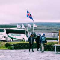 Escape the City: Nature Day Tours from Reykjavík