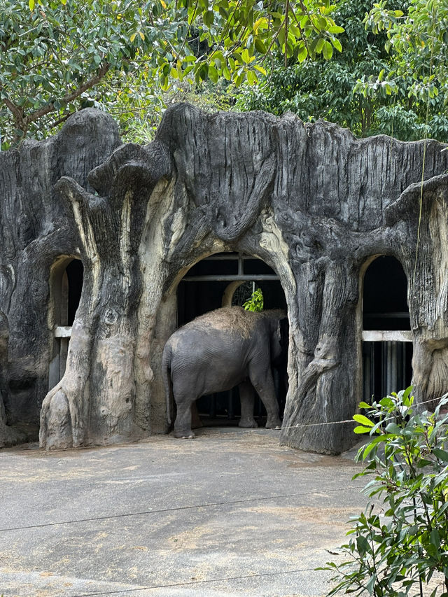Bird World Review: A Wild Day Out in Taipei’s Animal Kingdom