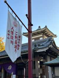 Dreaming of Japan? I show you the iconic Tokyo landscape 