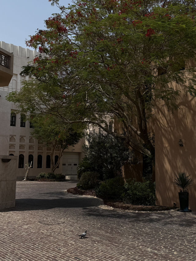 Doha Qatar 🇶🇦 