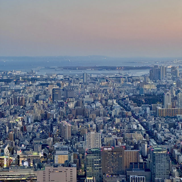Tokyo Skytree at sunset 🌅