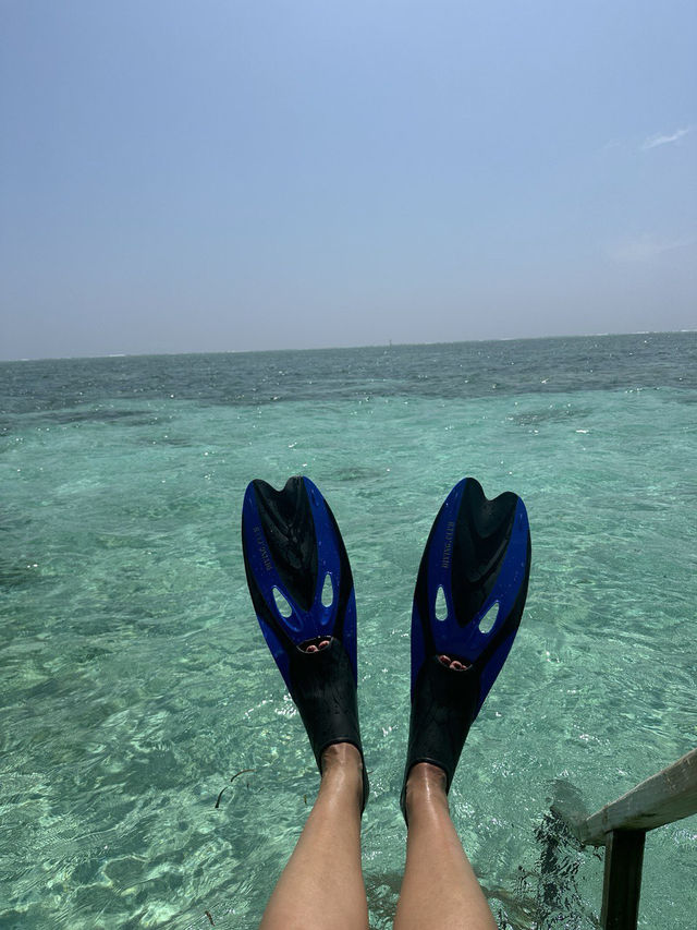 Cocoon Maldives — Where Modern Luxury Meets Barefoot Paradise