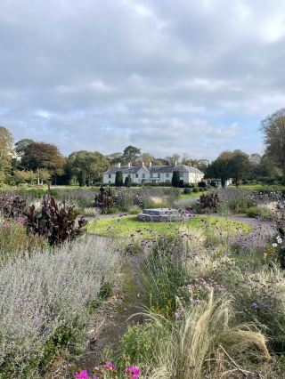 ทริปไปคิลลาร์นีย์ในไอร์แลนด์ตะวันตกเฉียงใต้ เมืองเล็กๆ ที่ธรรมชาติและเมืองผสมผสานกันอย่างลงตัว