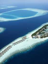 Snorkeling at Vilamendhoo — Where the Ocean Reveals Its Wild Heart