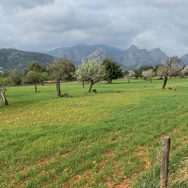 Tren de Soller, Мальорка
