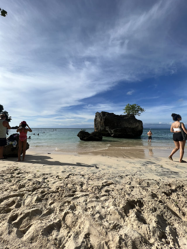 🌴✨ Bali — the island where culture, flavor, and tropical be 🌴✨ Bali — the island where culture, flavor, and tropical be