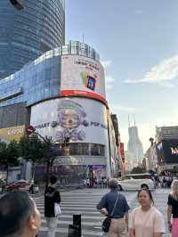 АДРЕСА ПОПУЛЯРНЫХ МЕСТ ШАНХАЯ 