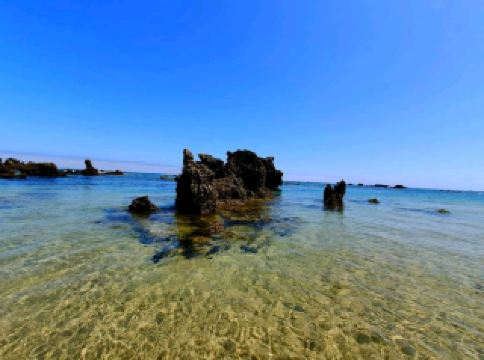 Explore the charm of medieval architecture in a village