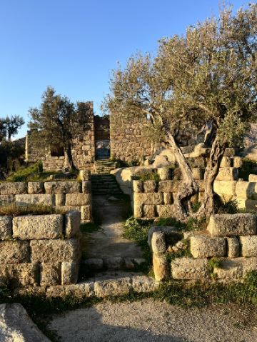 ตุรกี: เมืองโบราณเฮราเคลียที่ลาทมอส 🐑✨