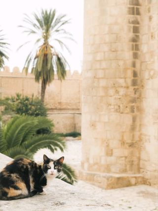 튀니지 수스의 메디나 산책.