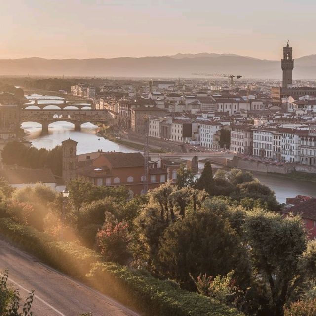 Florence Sunlight