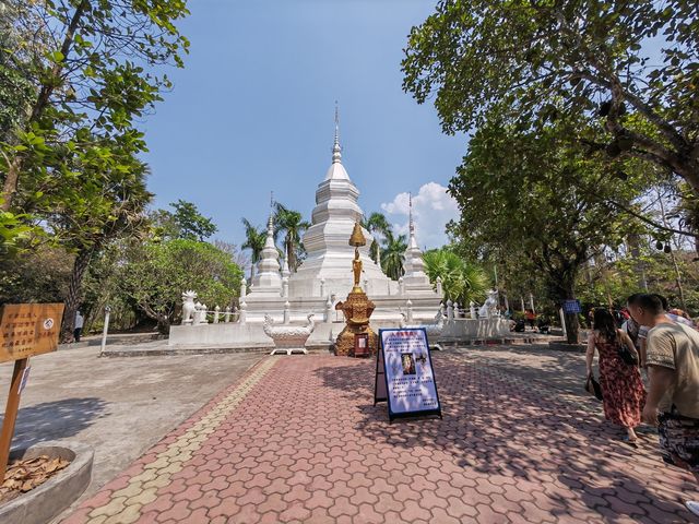 Read a legendary story of the rainforest, the ancient, mysterious and passionate Xishuangbanna.