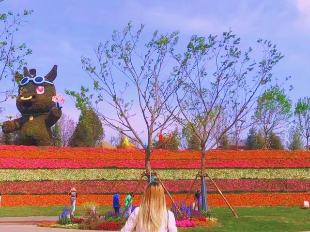 May Blossoms: Laimou Culture Town 🌸🌼🍃