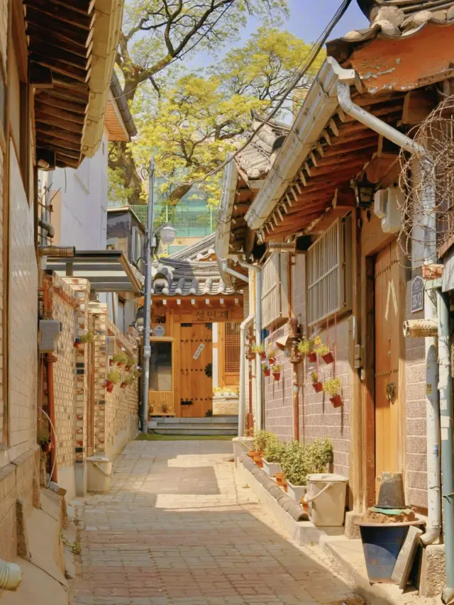 首爾住邊區好?通宵購物/文青聚集地/傳統建築