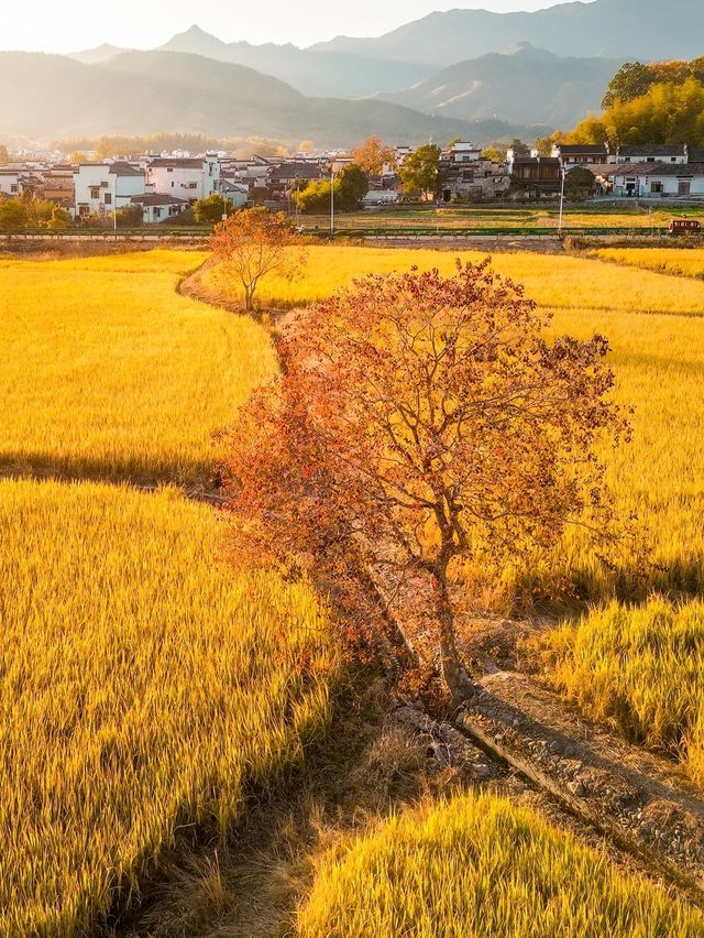 如此美景的村鎮，你會住多久呢