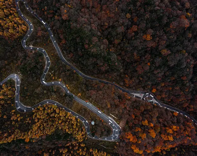 Nanjiang County - Micang Mountain Scenic Area