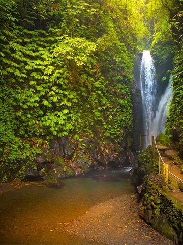 🚴 Roaming Bali! Take in the idyllic scenery, explore unknown corners, and soak up the island's sights!