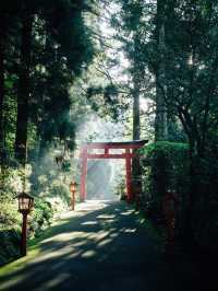 ⛰️ 箱根2泊3日の旅